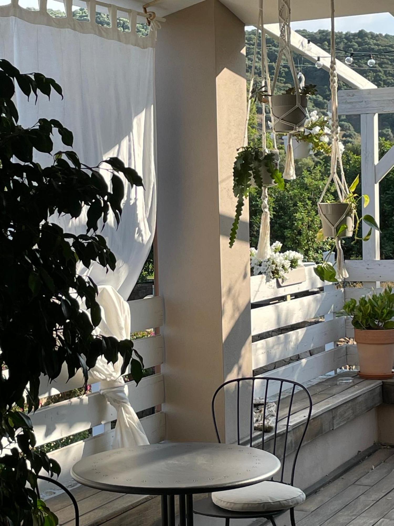 La Pecora Nera B&B Budoni Exterior foto